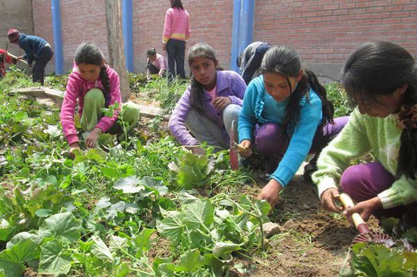 Acobamba, Huancavelica (Andenregion), Peru Gemeinsam wird der Boden bereitet, gepflanzt und geerntet.